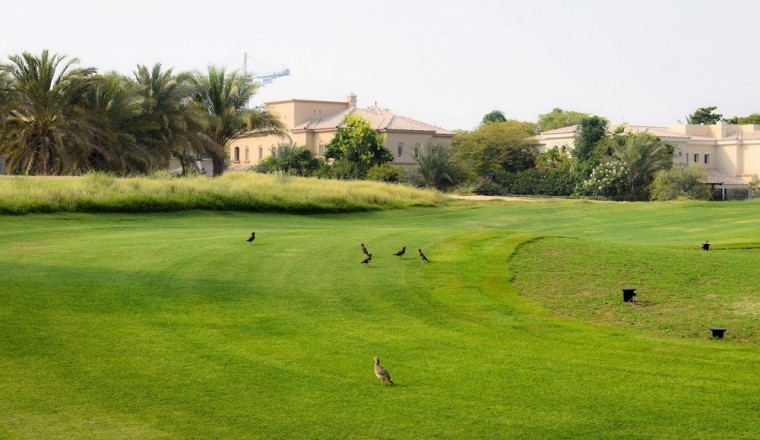 Desert Golf Completes Renovations at Arabian Ranches Golf Course in Record Time