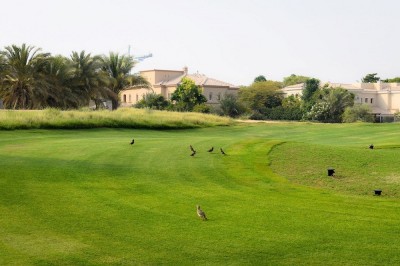Desert Golf Completes Renovations at Arabian Ranches Golf Course in Record Time