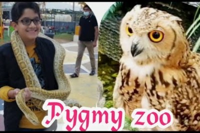 Ajman Pygmy Zoo Visit & reviews