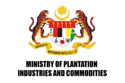 انطلاق أسبوع السلع الزراعية المستدامة الماليزي (السلع الزراعية غير الغذائية) في 