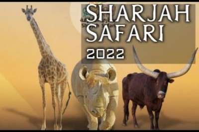 Sharjah Safari First Look at Attraction That Houses Thousands of Animals : UAE Attraction Places
