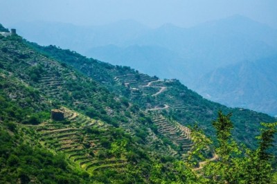 UN Environment Program (UNEP) announces that Saudi Arabia will host the 2024 World Environment Day
