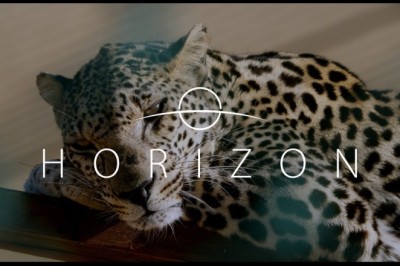 Saudi Arabia’s Ministry of Media launches Horizon documentary on Netflix, about wildlife in the Kingdom