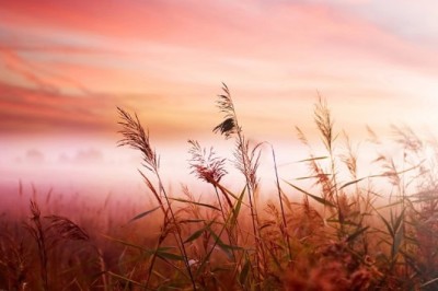 How to Brighten Your Morning (and Whole Day): 7 Powerful Habits