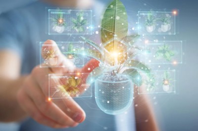 This unexpected plant discovery could change how drugs are made